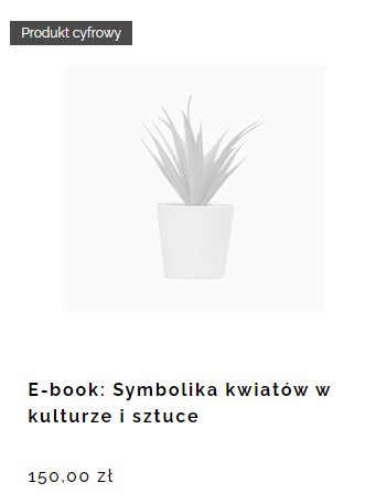 Comarch e-sklep - oznaczenie produktu cyfrowego