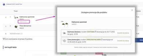prezentacja promocji z poziomu koszyka